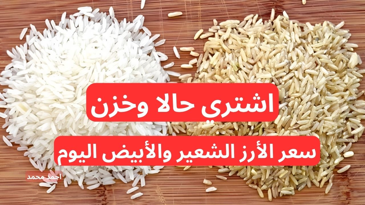 “فرصة تخزن في الرخص”.. سعر طن الأرز الشعير اليوم الأربعاء 4-12-2024.. كم سعر الأرز الأبيض؟