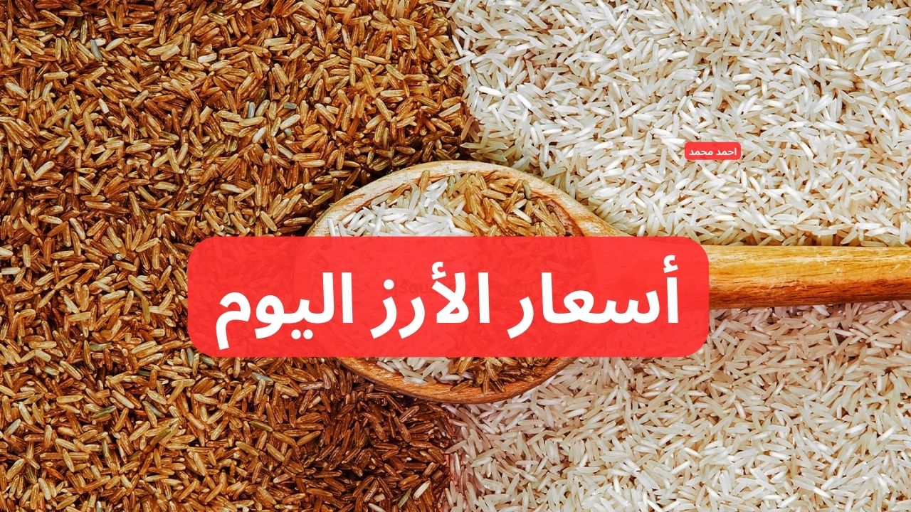 “مفاجأة في أسعار الشعير”.. سعر الأرز عريض ورفيع الحبة اليوم الاثنين 9 ديسمبر 2024 في التعاملات