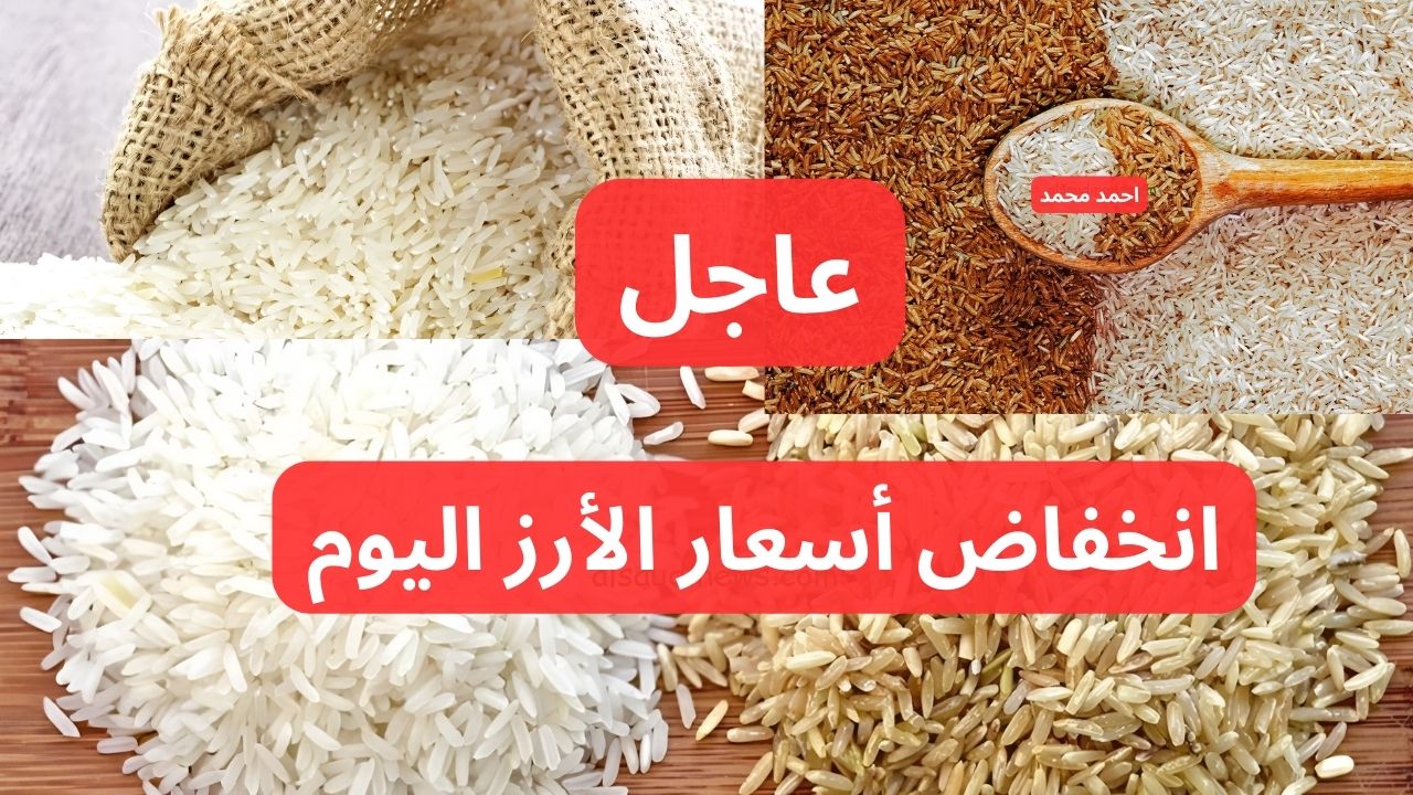 “تراجع جديد خزن بسرعة”.. انخفاض سعر طن الأرز الشعير اليوم الثلاثاء 10-12-2024 في السوق