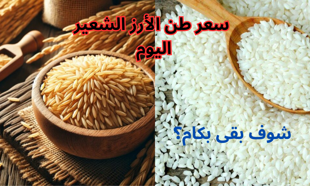 “خزني لرمضان”.. سعر طن الأرز الشعير اليوم السبت 28 ديسمبر 2024.. وأسعار السلع الأساسية في السوق المصرية “آخر تحديث”