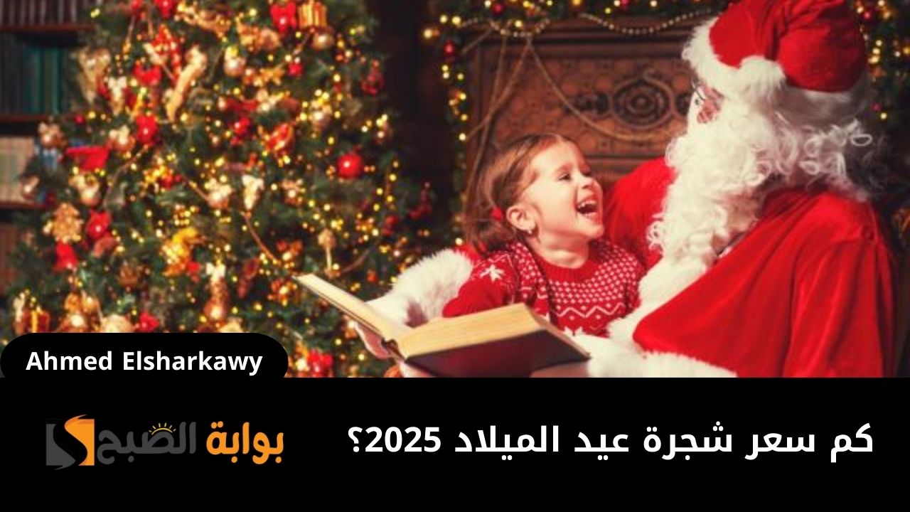 كم سعر شجرة عيد الميلاد 2025؟ وأسعار زينة رأس السنة