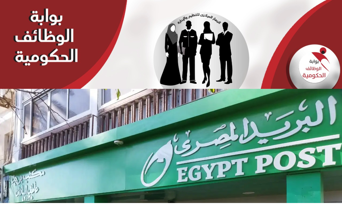 “ساعات قليلة ويبدأ التسجيل”.. نظام أسئلة مسابقة وظائف البريد المصري 2024-2025.. المؤهلات والشروط والمستندات المطلوبة