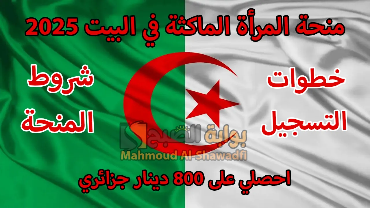 منحة المرأة الماكثة في البيت 2025.. خطوات التسجيل والشروط ومبلغ المنحة 800 دينار جزائري