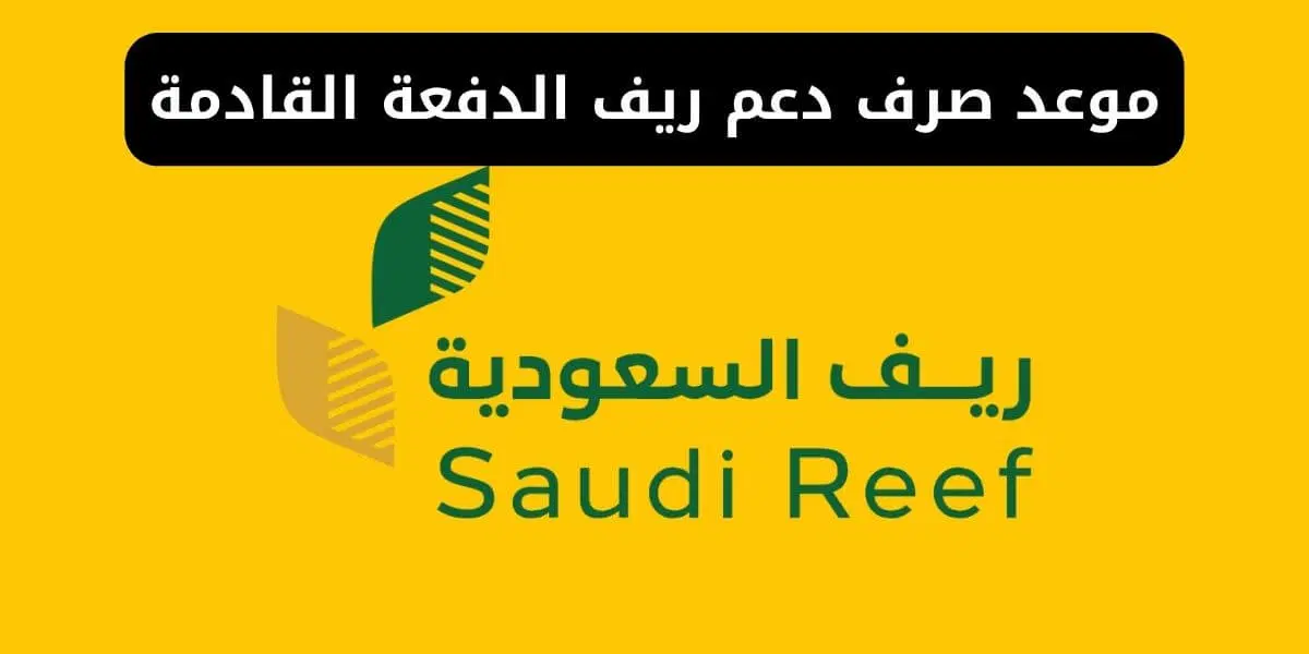 بأسهل الخطوات.. تعرف على كيفية الاستعلام عن دعم الريف لشهر يناير 2025