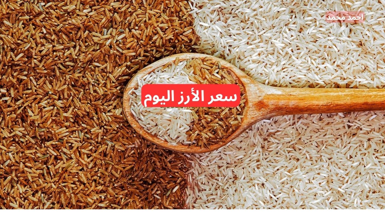 بكام الطن؟.. نقيب الفلاحين يعلن سعر طن الأرز الشعير اليوم الأربعاء 4-12-2024 في مصر