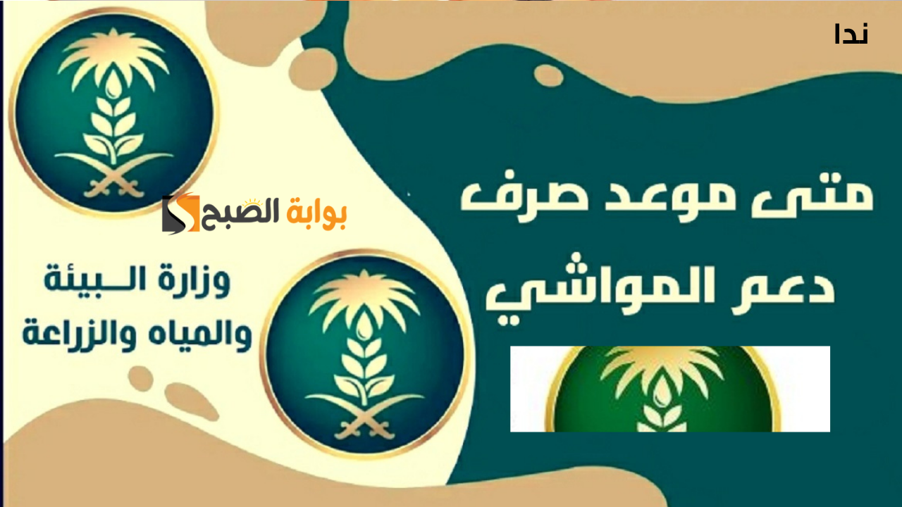 موعد صرف دعم المواشي شهر ديسمبر 2024/1446 ورابط الاستعلام