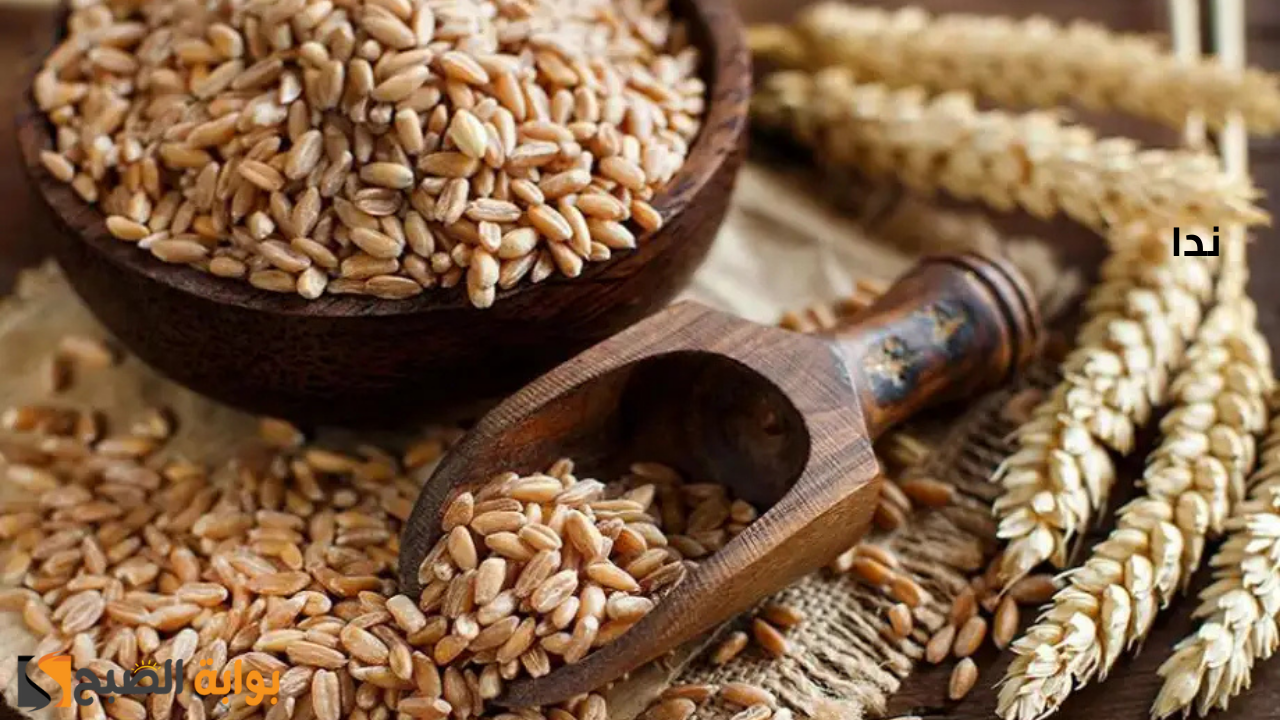 سعر طن الأرز الشعير اليوم  في السوق المحلي والمستهلك
