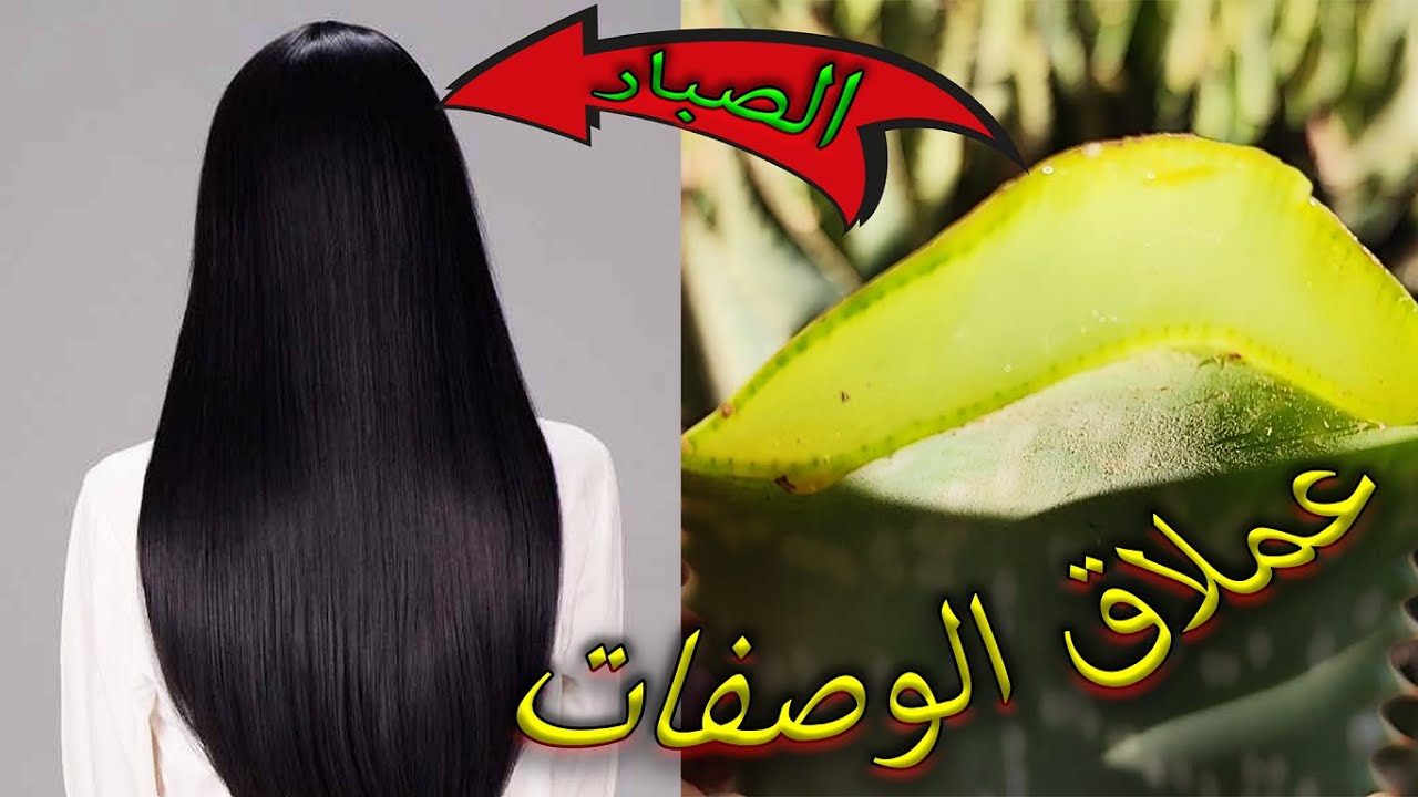 ودعي تجاعيد الشعر للأبد .. وصفة سحرية تجعل شعرك مفرودًا وناعمًا كالحرير بمكونات من المنزل لتتألقي بجمالك