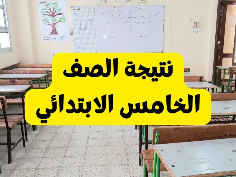 eduserv.cairo.gov.eg: نتيجة الصف الخامس الابتدائي برقم الجلوس للترم الاول 2025 بالالوان