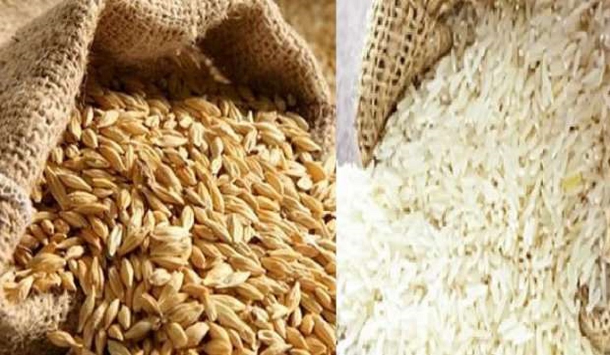 نقيب الفلاحين يكشف سعر طن الأرز الشعير اليوم السبت 4 يناير 2025 جملة وتجزئة وتوقعات زيادة الأسعار