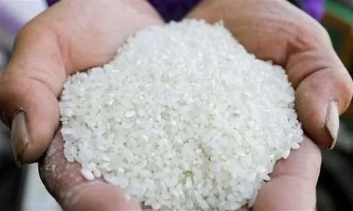 “الحق استعد قبل رمضان” سعر طن الأرز الشعير اليوم الخميس 23-1-2025 في الأسواق