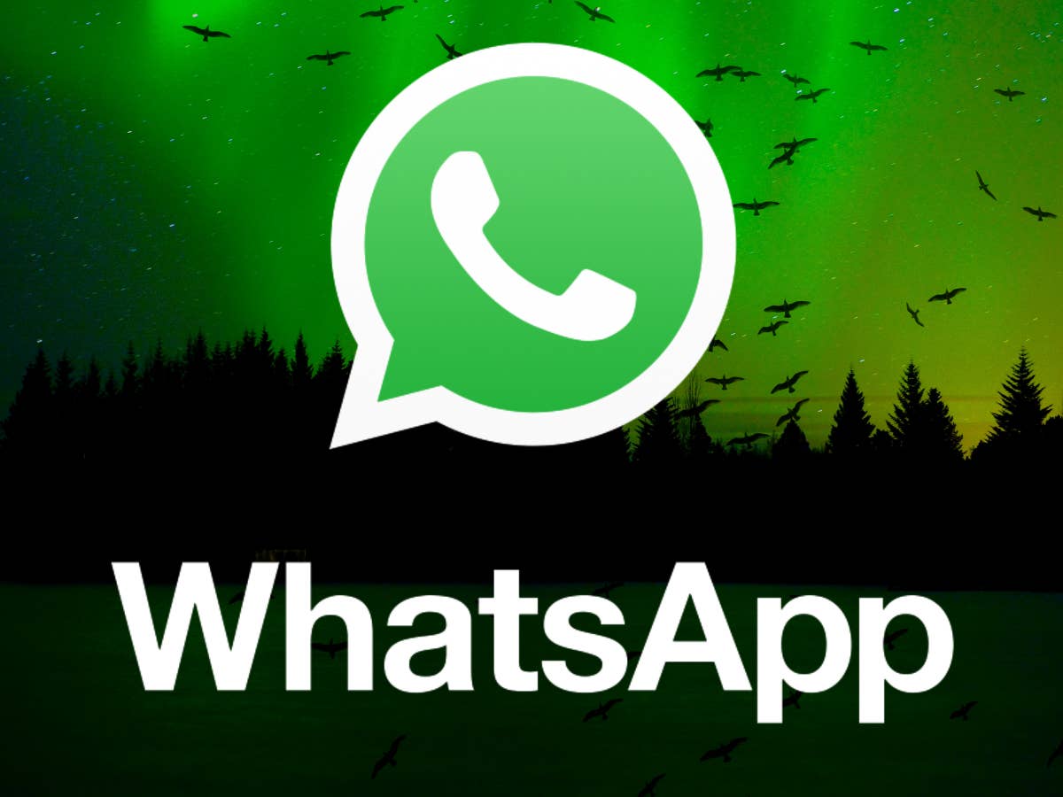 أفضل صانع ملصقات واتساب 5 تطبيقات مُميزة وسهلة الاستخدام