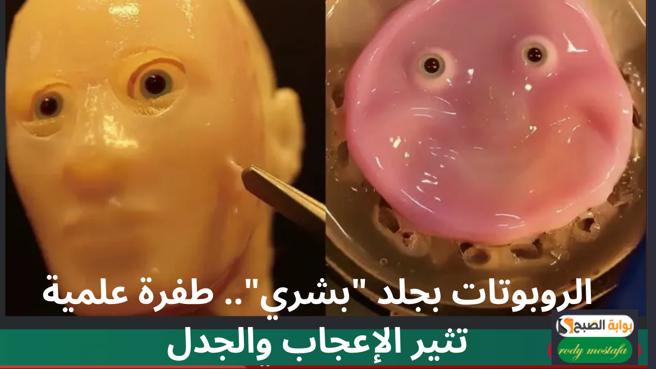 الروبوتات بجلد “بشري”.. اختراع جامد هيغير شكل المستقبل ويثير الإعجاب والجدل