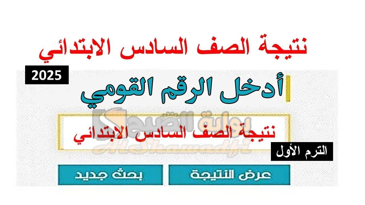 استعلم عنها فور ظهورها.. رابط نتيجة الصف السادس الابتدائي 2025 بالاسم ورقم الجلوس بمحافظة القاهرة