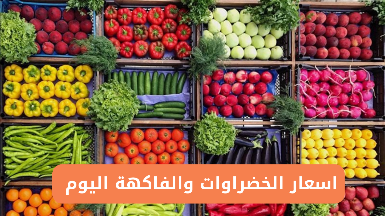 “الطماطم بـ3 والكوسة بـ10”.. اسعار الخضروات والفاكهة بمصر اليوم السبت 4/1/2025 للمستهلك “إلحقي فرزي لشهر رمضان”