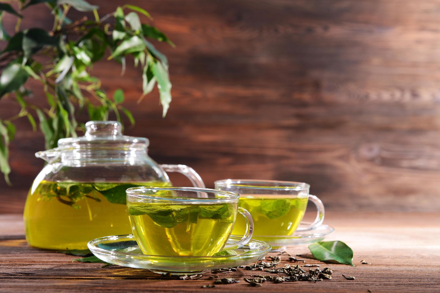 تعرف علي الفوائد العديد في تناول الشاي الاخضر