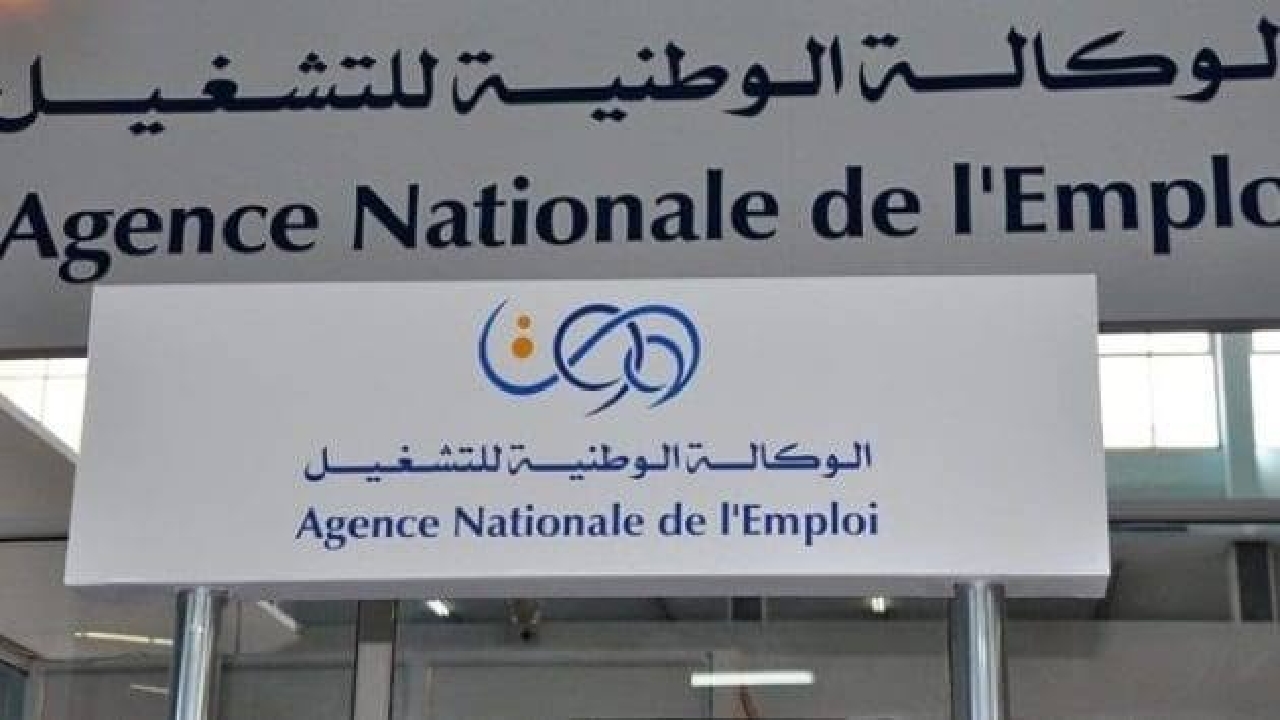 من هم الفئات الغير مسموح لهم تجديد منحة البطالة؟ الوكالة الوطنية للتشغيل تجيب