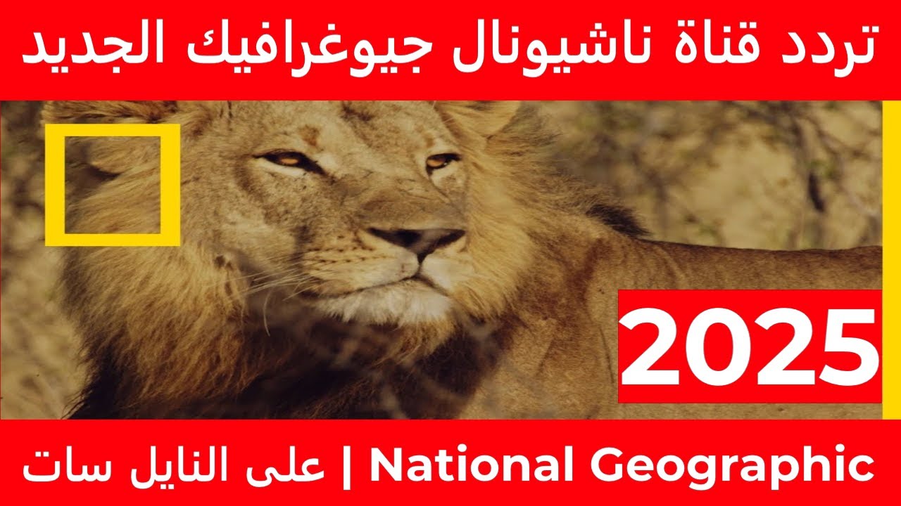 تردد قناة ناشيونال جيوغرافيك الجديد 2025.. استمتع برحلة استكشاف عالم الطبيعة والحضارات بجودة عالية