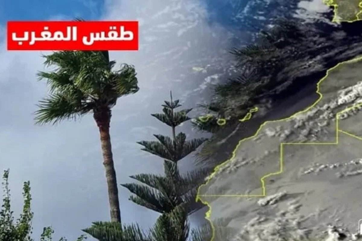 ثلوج وأمطار غزيرة وعاصفة رعدية تضرب مدن المملكة حالة الطقس في المغرب صقيع شديد مع تشكل الضباب جراء منخفض جوي اطلسي بارد