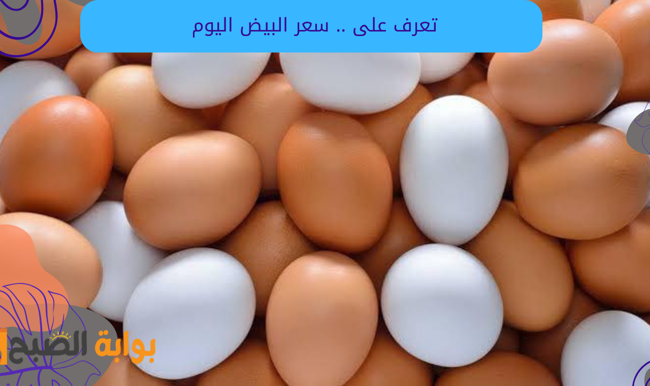 ارتفاع أسعار البيض.. تعرف سعر البيض والألبان والجبن والسمن اليوم السبت 11 يناير 2025