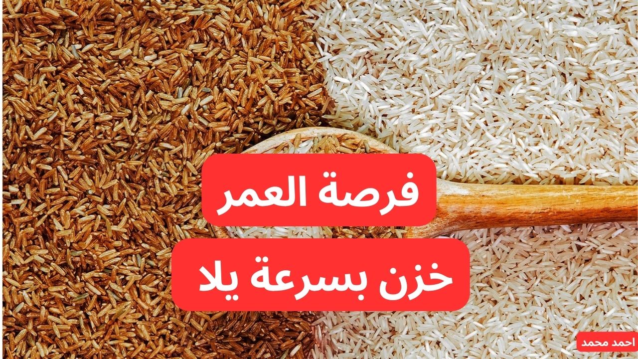 بعد التراجع الأخير.. سعر طن الأرز الشعير اليوم الأربعاء 29-1-2025 والأبيض