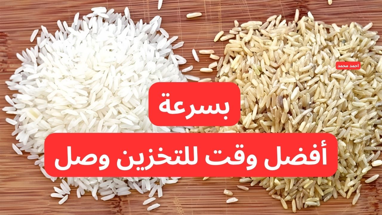 “الرفيع العريض بكام”.. سعر طن الأرز الشعير اليوم الثلاثاء 28-1-2025.. أسعار الأرز الأبيض