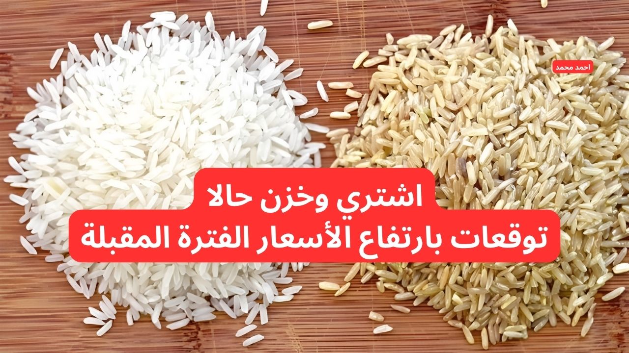 بعد آخر انخفاض.. سعر طن الأرز الشعير اليوم الجمعة 31-1-2025 والأبيض!