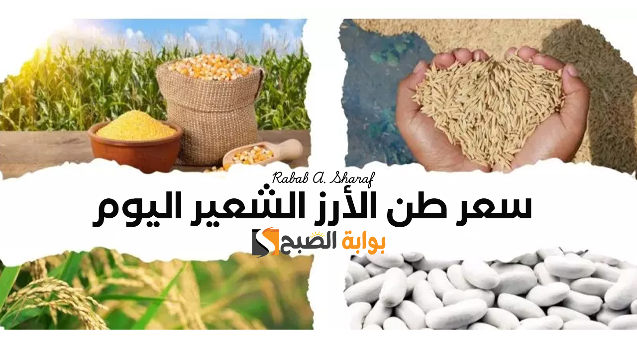 “خزني لرمضان”.. سعر طن الأرز الشعير اليوم الأحد 19 يناير 2025 وأسعاء السلع الأساسية