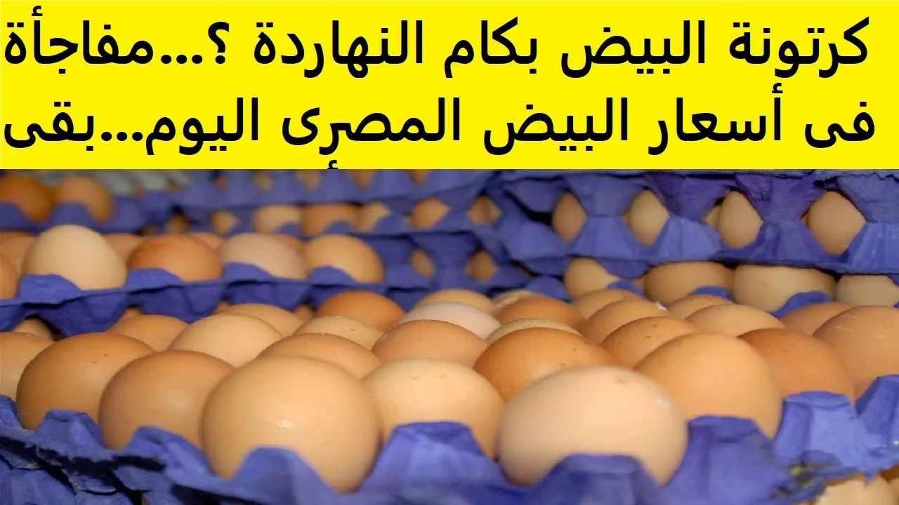 سعر كرتونة البيض اليوم 2 يناير 2025 للمستهلك وجميع المنافذ بالأسواق المحلية