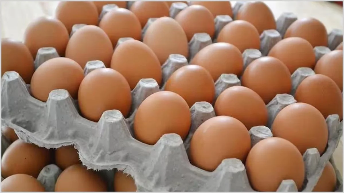 البيضة وصلت كم .. سعر كرتونة البيض اليوم الخميس 23-1-2025 الأبيض والأحمر والبلدي والكتكوت وصل كم