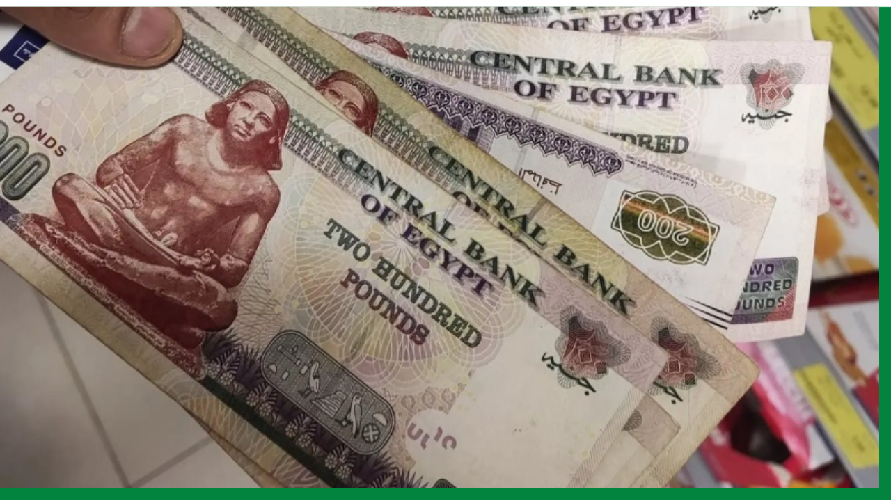 كيف تستعلم عن قيمة معاشك بالاسم عبر موقع التأمينات الاجتماعية قبل صرف معاشات فبراير 2025