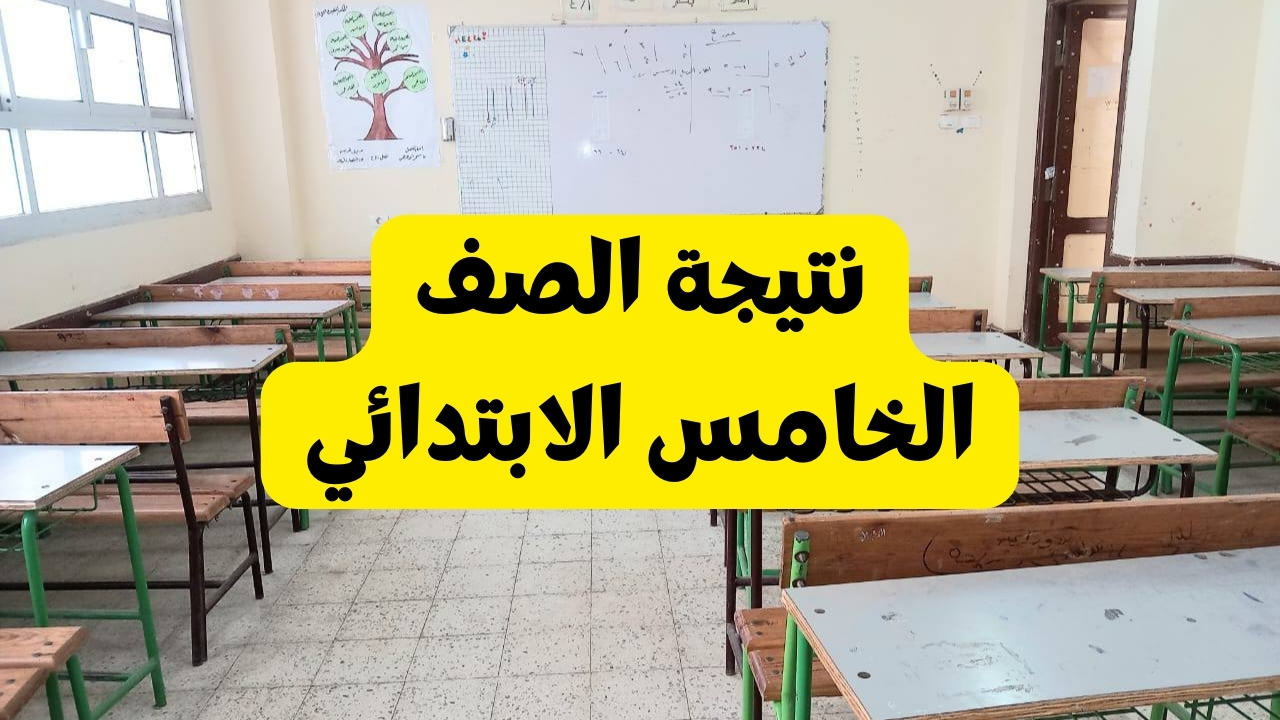 رابط نتيجة الصف الخامس الابتدائي برقم الجلوس والاسم عبر بوابة التعليم الأساسي