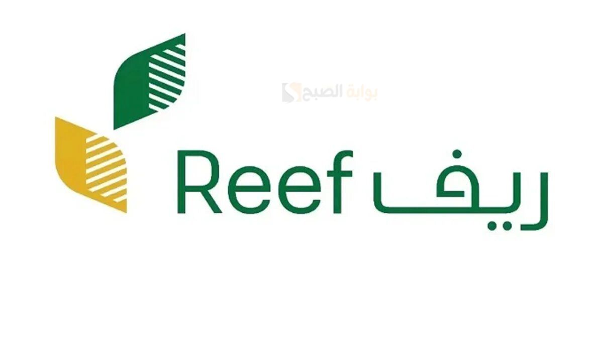 هل يمكن الاقتراض من برنامج ريف وما شروط الاستحقاق