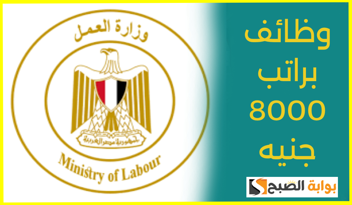 رسمياً.. وزارة العمل تعلن عن وظائف شاغرة براتب يصل إلى 8000 جنيه وتوضح الشروط