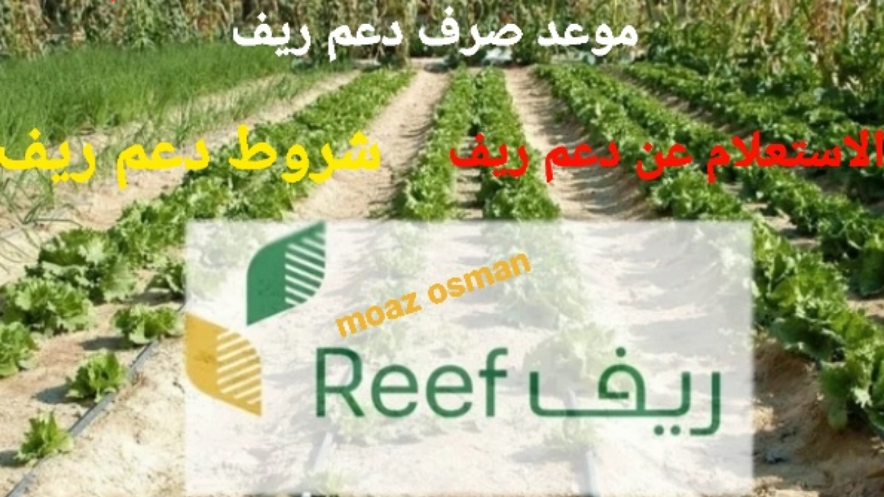 متى موعد صرف دعم ريف 1446دفعة شهر يناير .. وما هي طريقة التسجيل في البرنامج؟