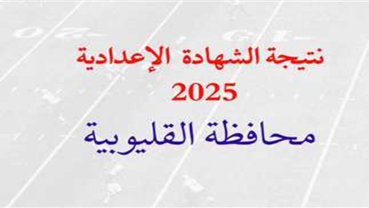 رابط مباشر وسريع.. رابط نتيجة تالتة أعدادي الترم الأول محافظة القليوبية 2025 فور الإعلان عنها رسميا 