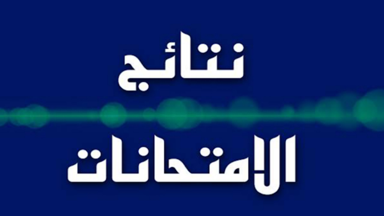 بعد إعلانها رسميًا .. رابط وخطوات استعلام نتائج السادس الابتدائي التمهيدي 2025 في الكرخ الثانية