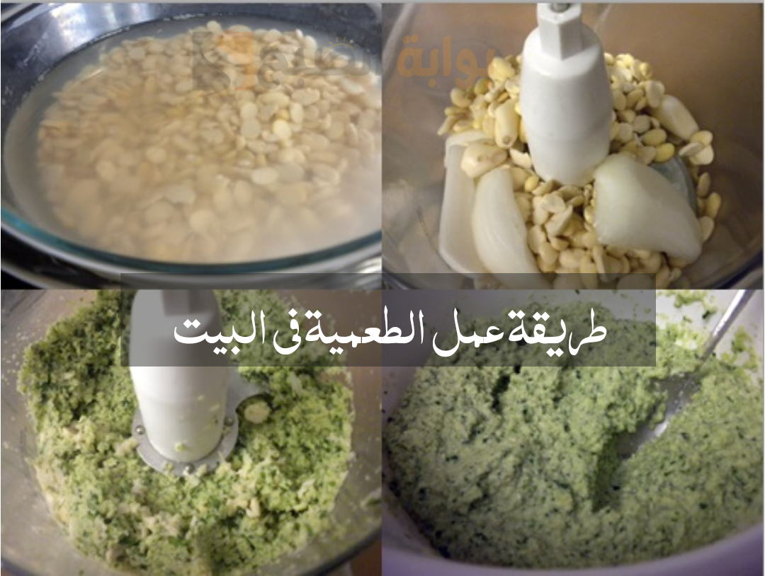 هتبقى معاكى في رمضان على الفطار والسحور..طريقة عمل الطعمية في البيت أحلى من المحلات