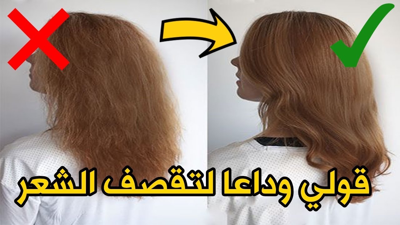 شعرك هيبقى حرير .. اعملي ماسك البيض الفعال لعلاج تقصف الشعر من البيت