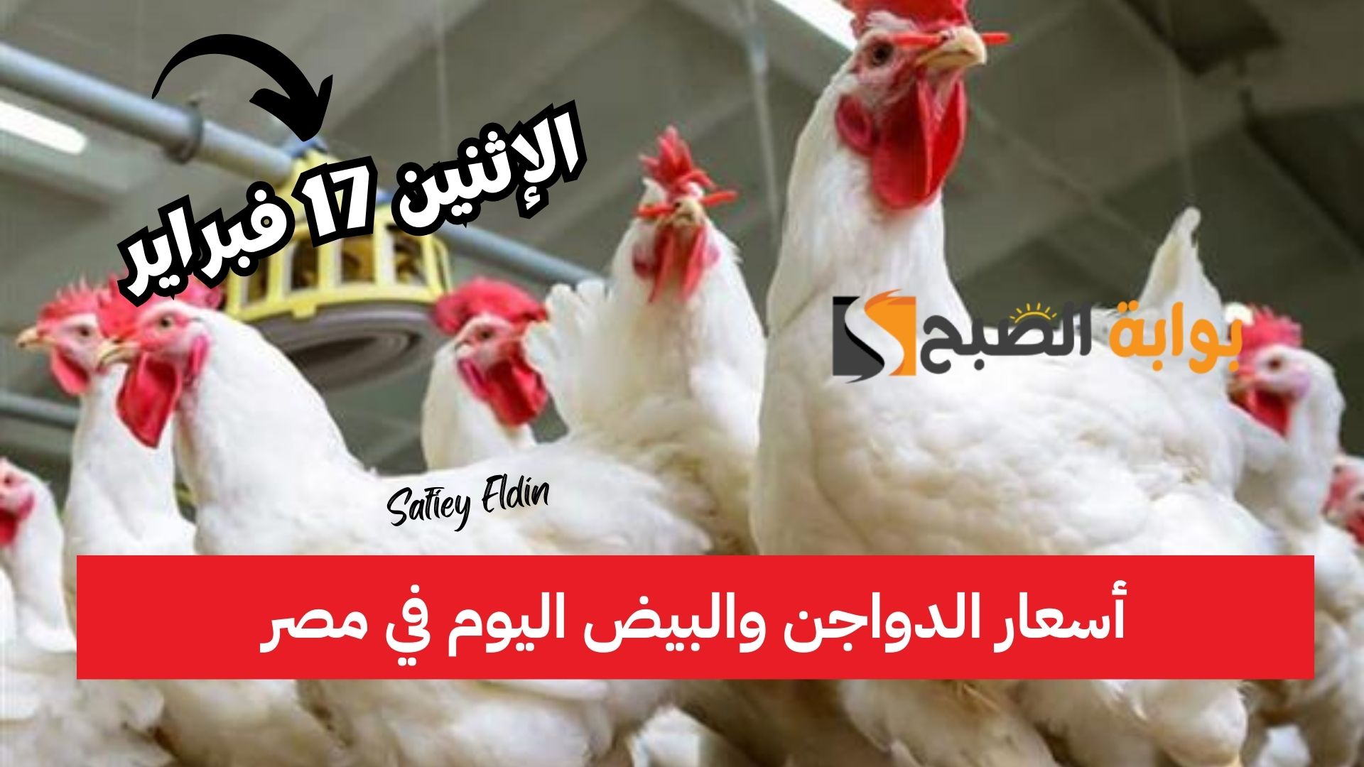 أسعار الدواجن والبيض اليوم في مصر الإثنين 17 فبراير 2025 في الأسواق المحلية