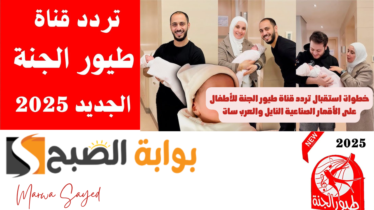 بعد التحديث الأخير .. إليك خطوات استقبال تردد قناة طيور الجنة للأطفال على الأقمار الصناعية النايل والعرب سات 2025