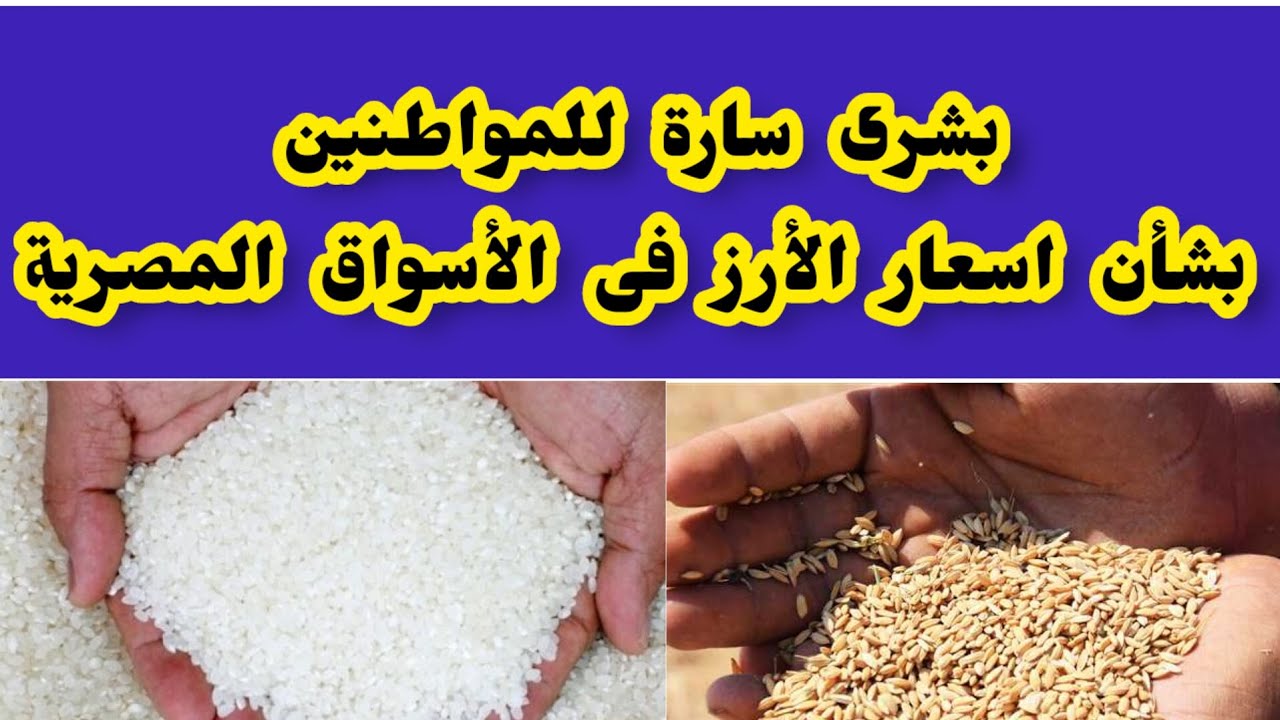 اسعار الارز اليوم … سعر الارز والشعير فى مصر اليوم 19 فبراير 2025 قبل حلول شهر رمضان