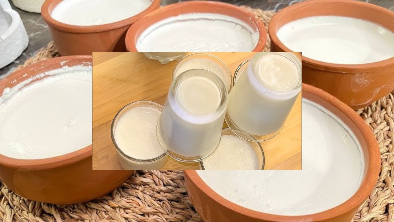 زبادي صحي بدون مواد حافظة لسحور رمضان .. حضري الزبادي في المنزل بسهولة وبمذاق كريمي لا يقاوم 