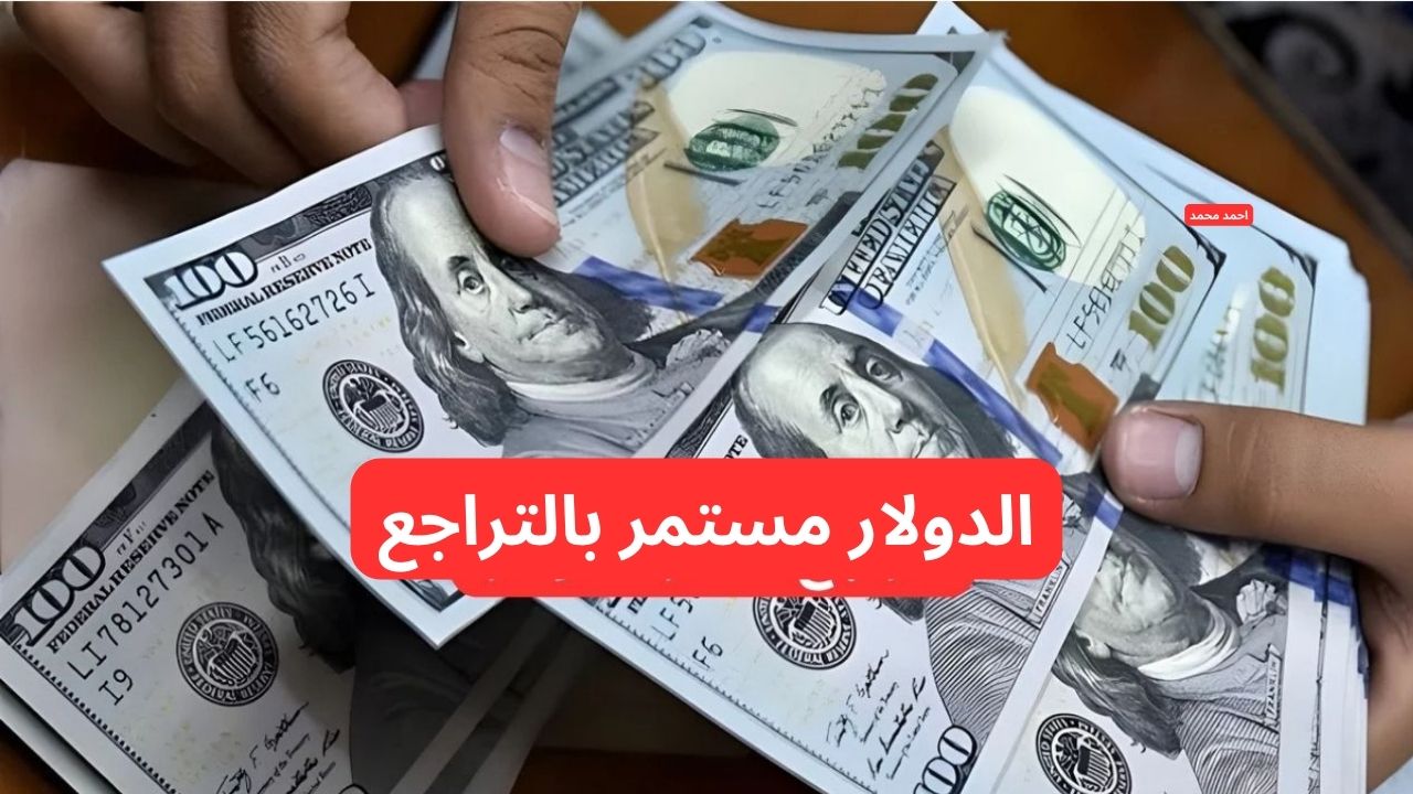 “الدولار مستمر بالتراجع”.. انخفاض سعر صرف الدولار مقابل الدينار العراقي اليوم الأحد 23-2-2025