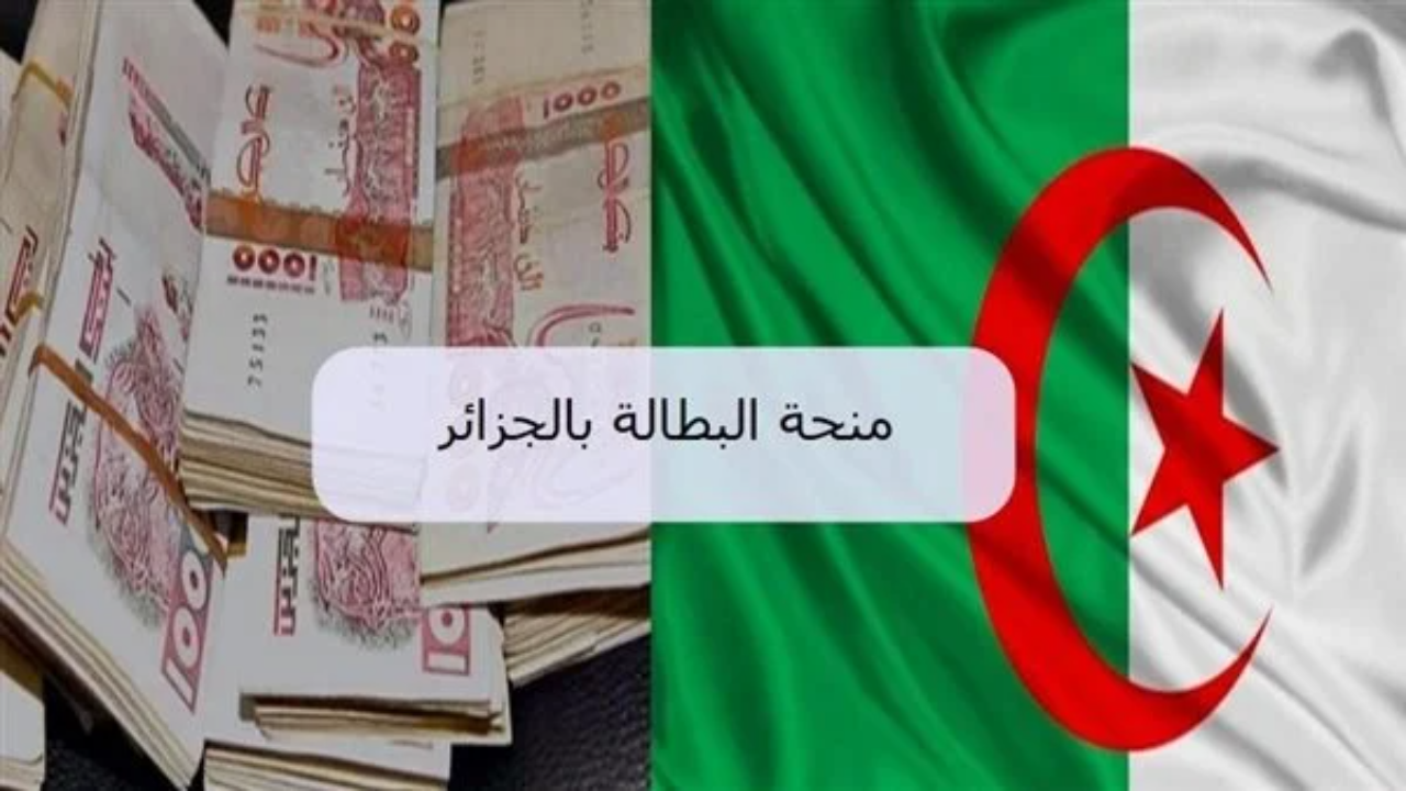 خطوات تجديد منحة البطالة في الجزائر 2025 Wassitonline anem dz