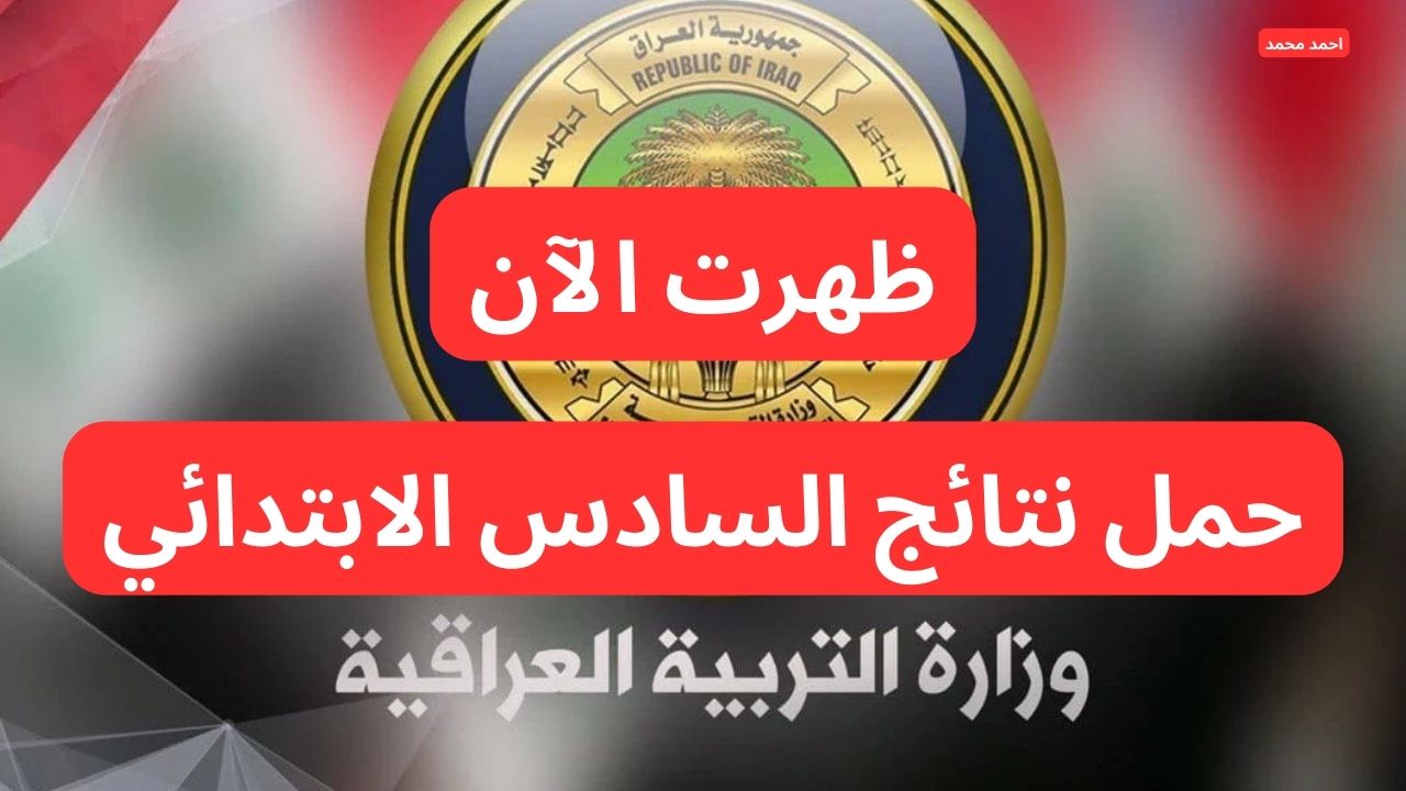 ظهرت حالا.. تحميل نتائج التمهيدي السادس الابتدائي 2025 موقع نتائجنا