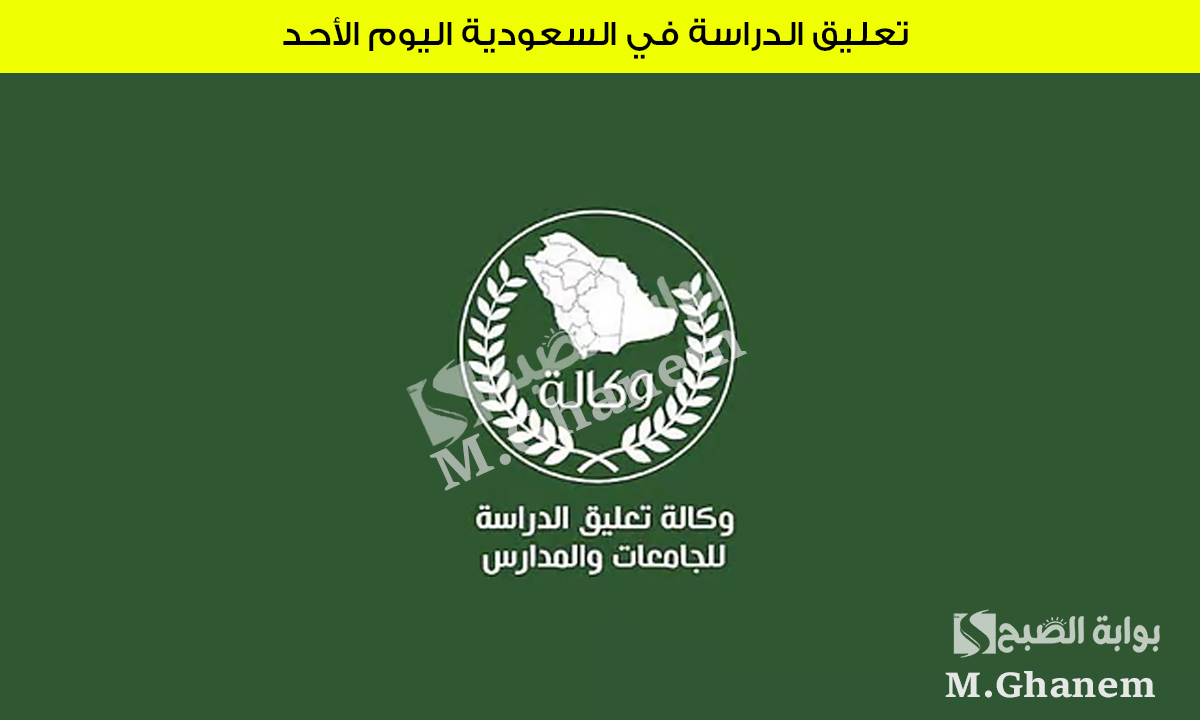 رسميًا.. تعليق الدراسة في السعودية اليوم الأحد وأهم الجهات المعلن عنها بسبب سوء الأحوال الجوية