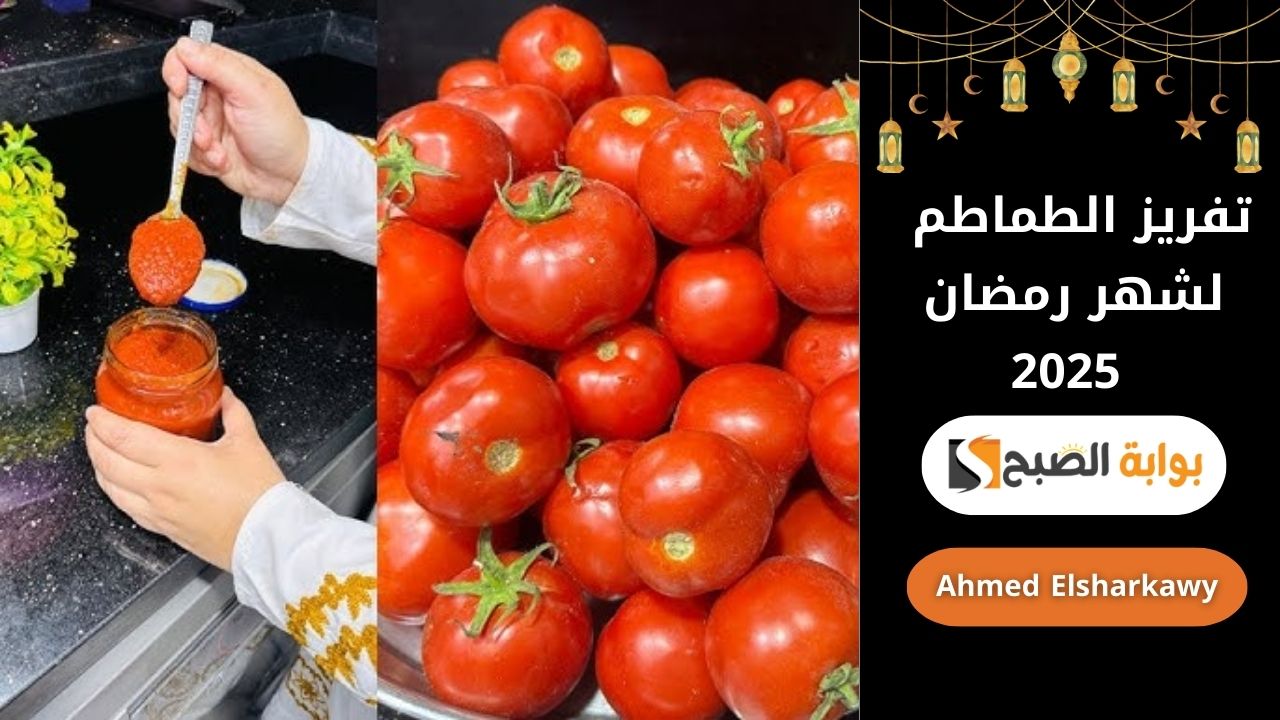 تفريز الطماطم لشهر رمضان 2025 | أفضل الطرق لحفظها طازجة لفترة أطول