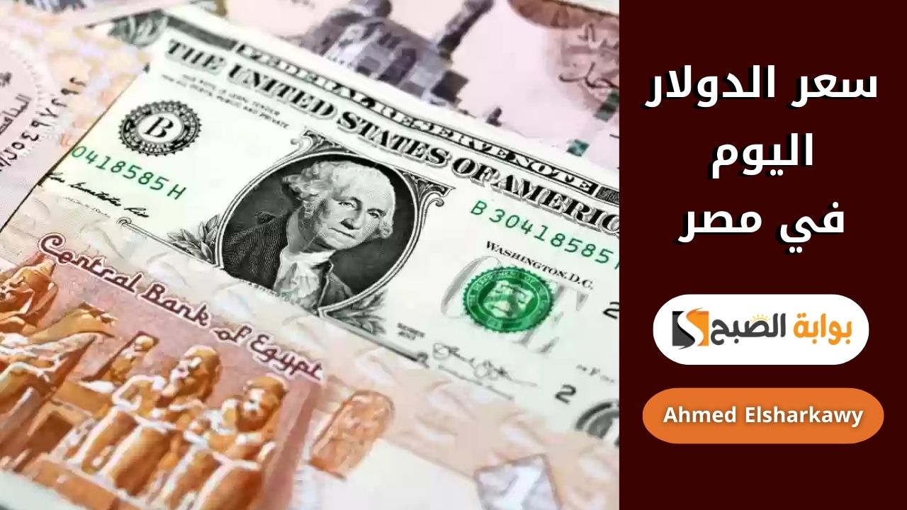 سعر الدولار اليوم في مصر الاحد 23 فبراير 2025 .. هل يشهد السوق تحركات جديدة؟