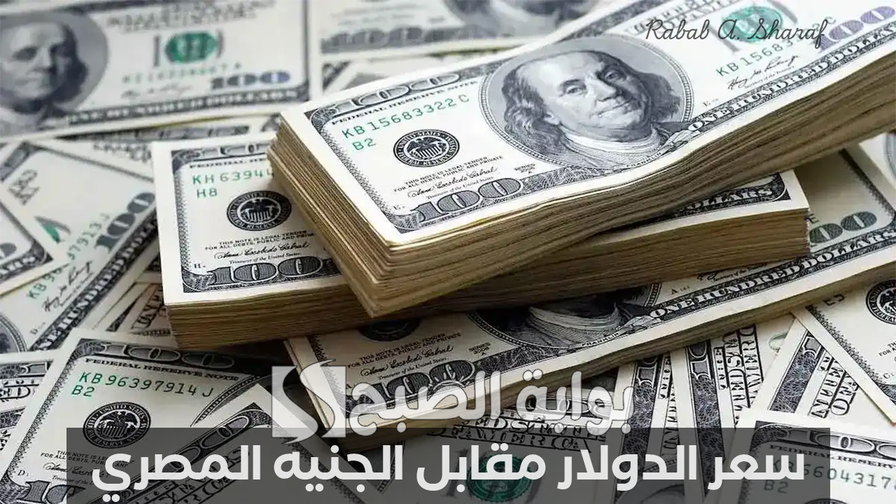 “استقرار نسبي”.. سعر الدولار مقابل الجنيه المصري اليوم الأحد 9 فبراير 2025 بعد العطلة الأسبوعية